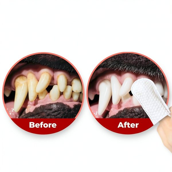 Pets & Pupps Dog Teeth Cleaning Wipes, Cats & Dogs Tooth Brushing Kit to Remove Plaque & Tartar Buildup, Dog Toothbrush and Toothpaste Alternative for Dog Breath Freshener & Dental Care, Unscented-3