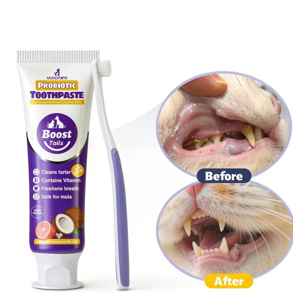 Cat Toothbrush Kit VVHOMIFE - Coconut Chicken Flavor, 2.5 oz-5