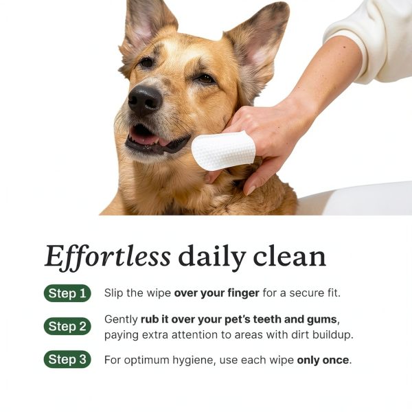 PetLab Co. Dental Finger Wipes - Easy to Use Dog & Cat Teeth Cleaner - Freshens Breath & Provides A Thorough Clean – Supports Overall Oral Hygiene – Alcohol & Fragrance Free - Packaging May Vary-2