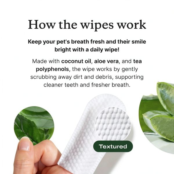 PetLab Co. Dental Finger Wipes - Easy to Use Dog & Cat Teeth Cleaner - Freshens Breath & Provides A Thorough Clean – Supports Overall Oral Hygiene – Alcohol & Fragrance Free - Packaging May Vary-5