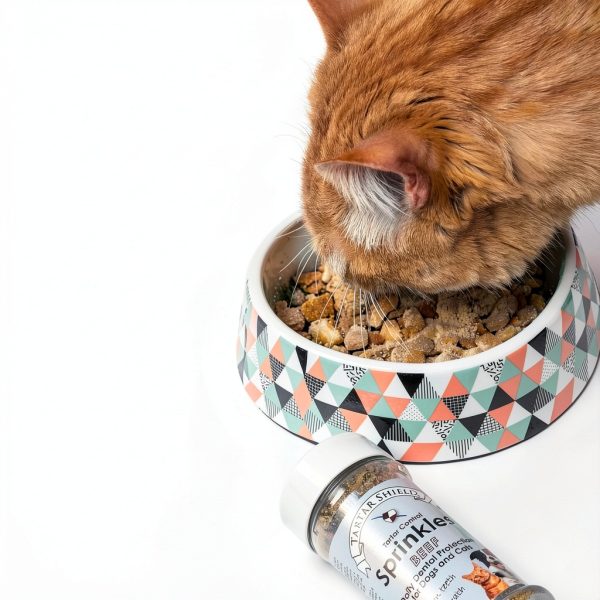 Tartar Shield Dental Sprinkles Human-Grade Beef Topper for Dogs & Cats-5