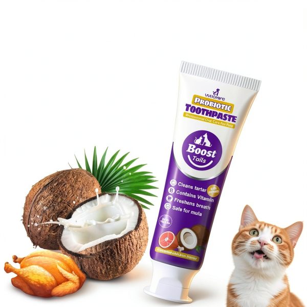 Cat Toothbrush Kit VVHOMIFE - Coconut Chicken Flavor, 2.5 oz-1