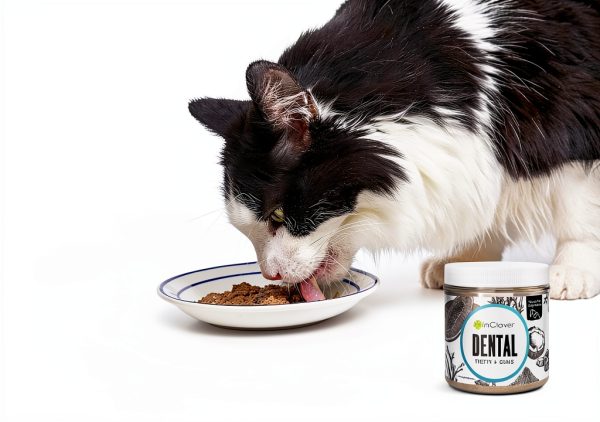 InClover Dog and Cat Dental Powder for Teeth Cleaning and Enamel and Gum Health, Natural Pet Supplement, Breath Freshener - Naturally Flush Away Tartar, No Brushing Necessary-5