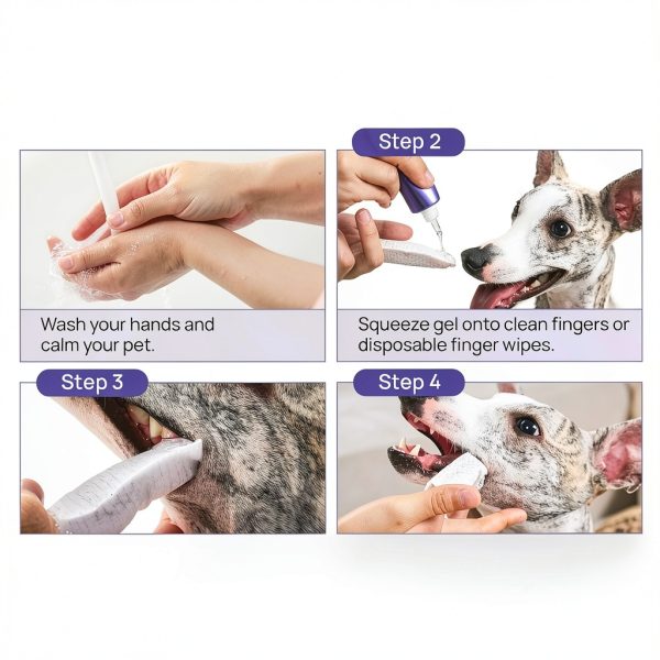 HICC PET Teeth Cleaning Gel for Dogs & Cats - Vet Recommended 2 Fl Oz-7