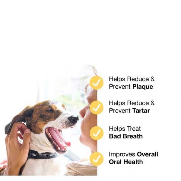 ProDen PlaqueOff Dental Powder for Cats and Dogs 180g Seaweed Breath-2