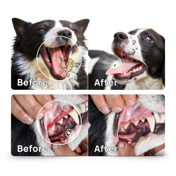 HICC PET Dog Dental Care Spray, Vet-Recommended Breath Freshener & Teeth Cleaning Spray, Eliminate Bad Breath, Relieve Gum Redness & Infections, Reduce Plaque & Tartar, No Brushing, 5.1 Fl Oz-3