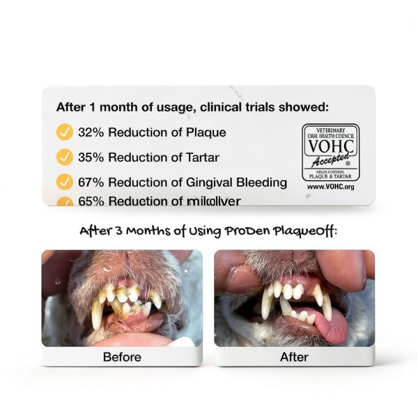 ProDen PlaqueOff Soft Chews with Organic Kelp - for Small & Medium Breed Dogs & Cats - Supports Normal, Healthy Teeth, Gums, and Breath Odor in Dogs & Cats - 45 Soft Chews-4