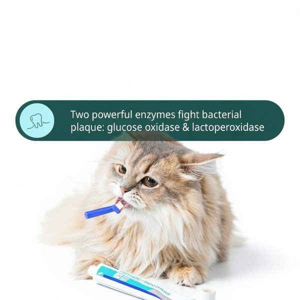 Virbac C.E.T. Oral Hygiene Kit for Cats Dogs with Dual Ended-2