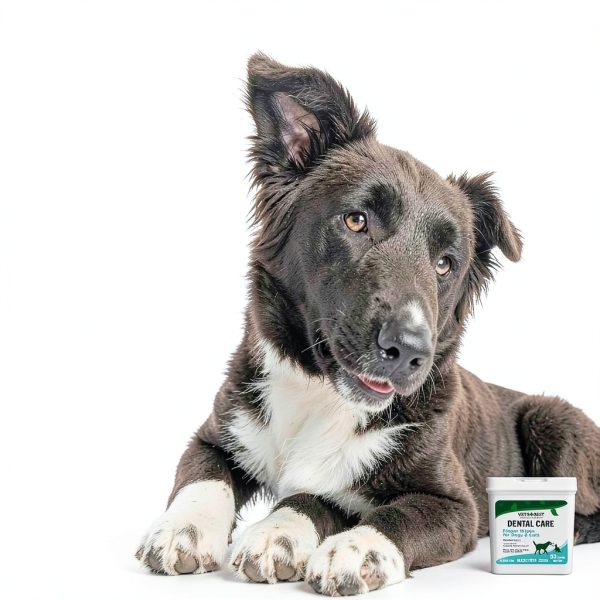 Vet's Best Finger Dental Wipes for Dogs & Cats – 50 Count Oral Care-6