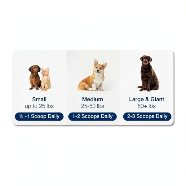 Proden PlaqueOff Dental Care for Dogs and Cats, 60gm-5