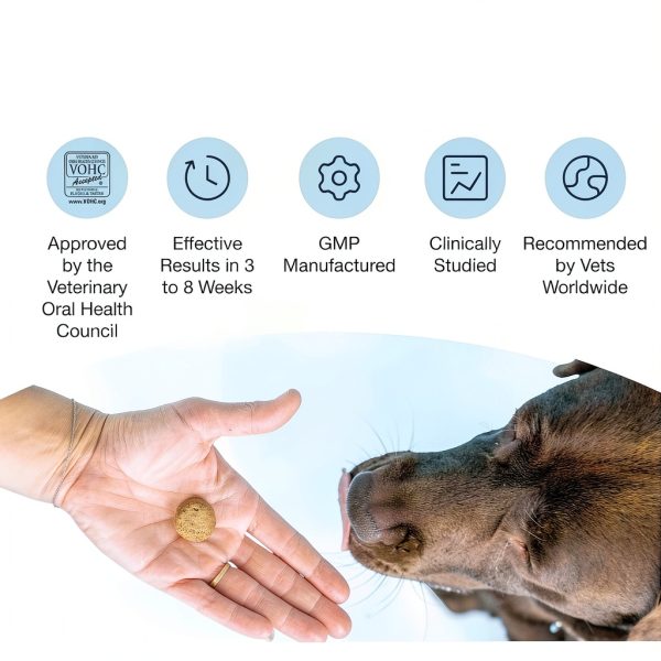 ProDen PlaqueOff Soft Chews with Organic Kelp - for Small & Medium Breed Dogs & Cats - Supports Normal, Healthy Teeth, Gums, and Breath Odor in Dogs & Cats - 45 Soft Chews-2