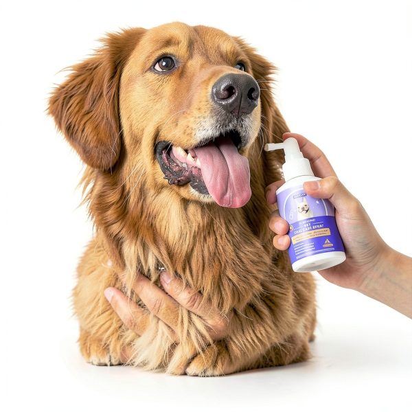 HICC PET Dog Dental Care Spray, Vet-Recommended Breath Freshener & Teeth Cleaning Spray, Eliminate Bad Breath, Relieve Gum Redness & Infections, Reduce Plaque & Tartar, No Brushing, 5.1 Fl Oz-2