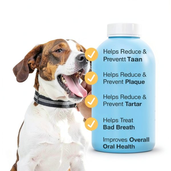 Proden PlaqueOff Dental Care for Dogs and Cats, 60gm-2